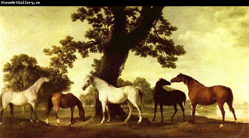 George Stubbs Pferde in einer Landschaft